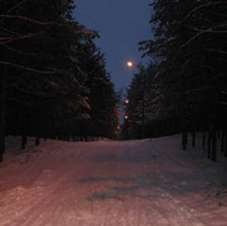 В Тольятти появилась освещенная лыжная трасса