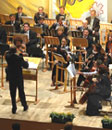 Впервые в Тольятти Камерный оркестр Самарской государственной филармонии